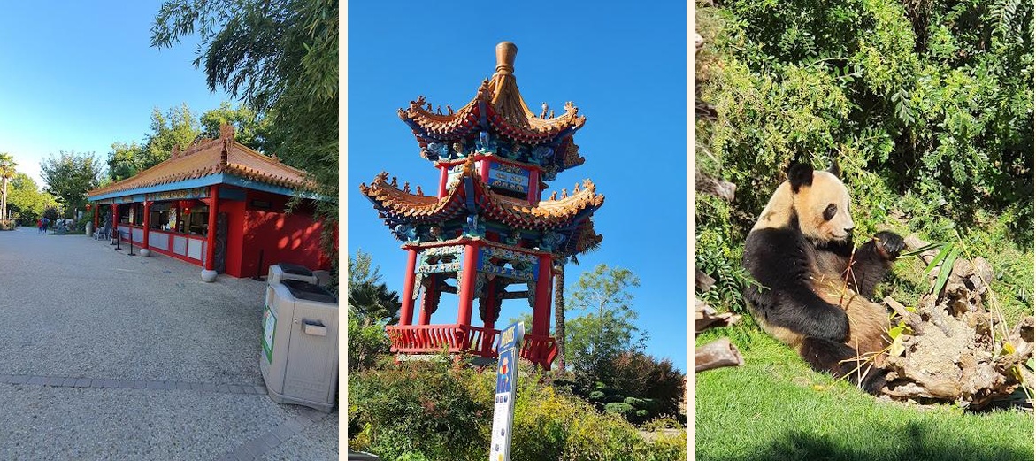 Les Bambous - Gallery Image 1