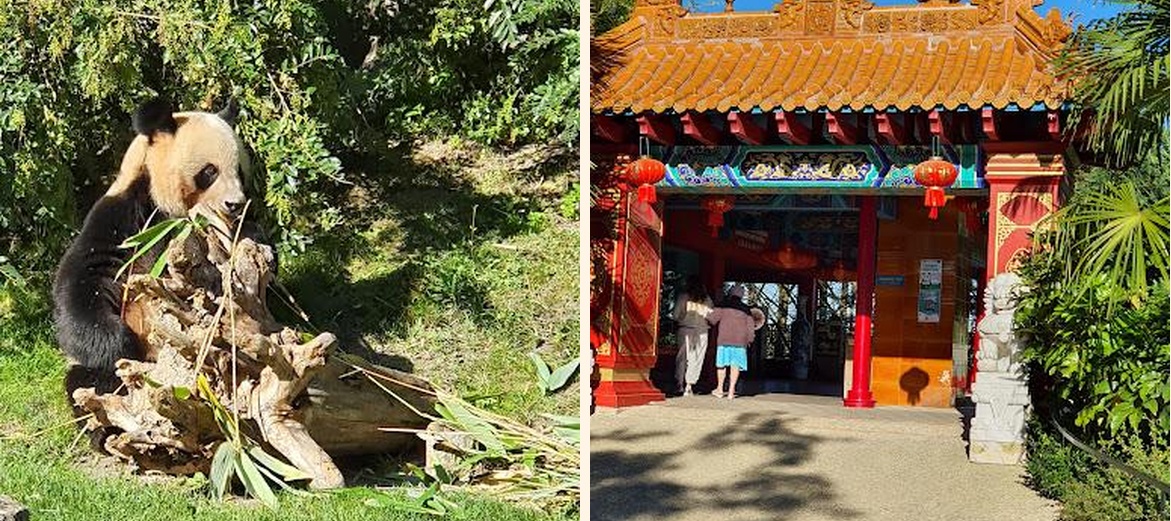 Les Bambous - Gallery Image 2